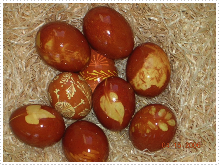 Eggs Onion Skins Eggs Onion Skins